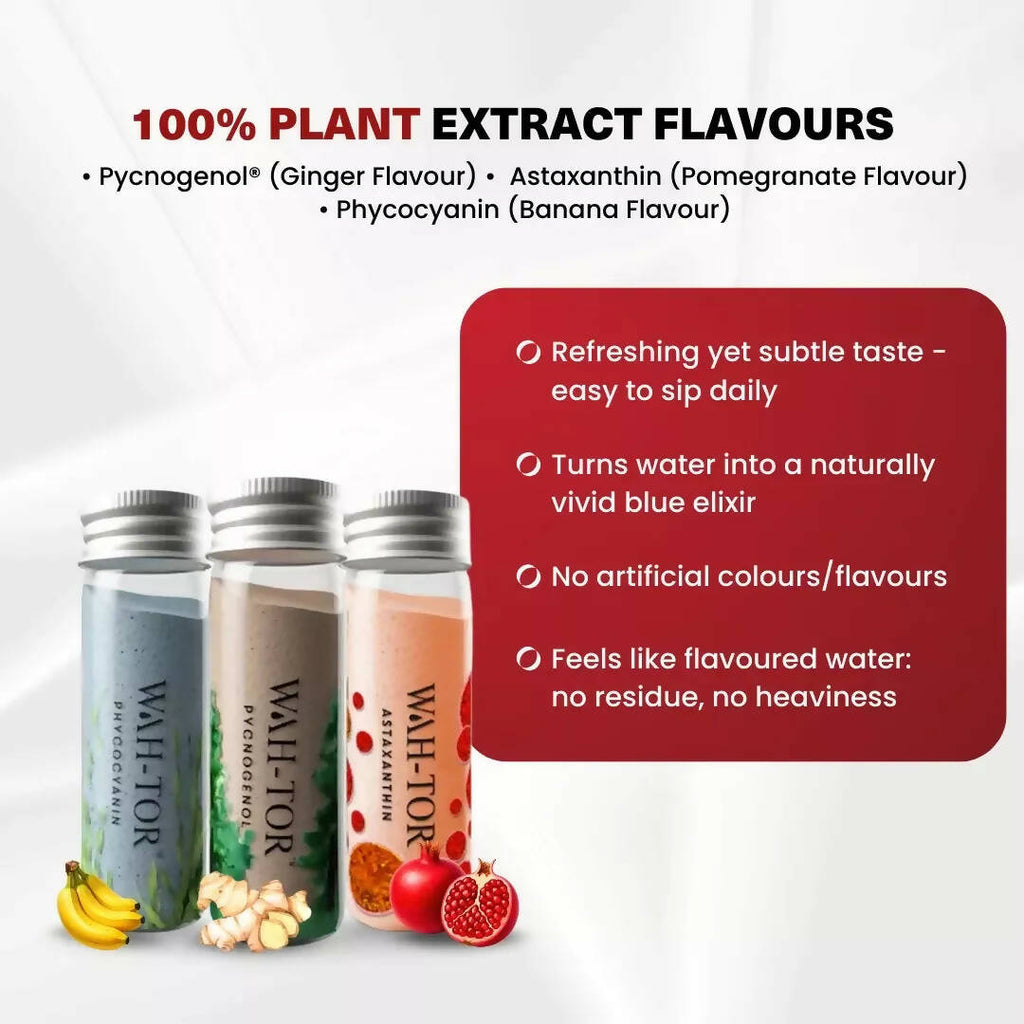Chosen Wah-Tor Plant Powered Collagen Builder | Grocsy