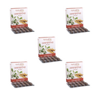 Patanjali Ashwagandha Capsules | Grocsy