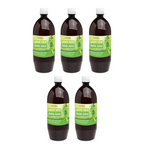 Patanjali Amla Juice