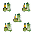 Patanjali Kesh Kanti Hair Oil | Grocsy