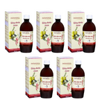 Patanjali Giloy Amla Juice
