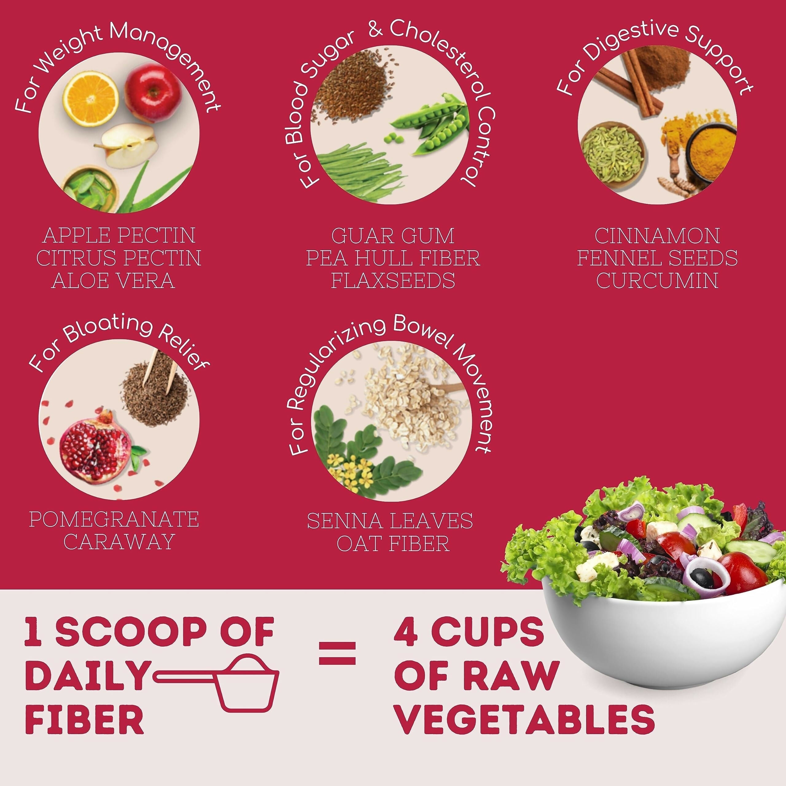 Wellbeing Nutrition Daily Fiber Powder - Vanilla Berry & Pina Colada Combo | Grocsy