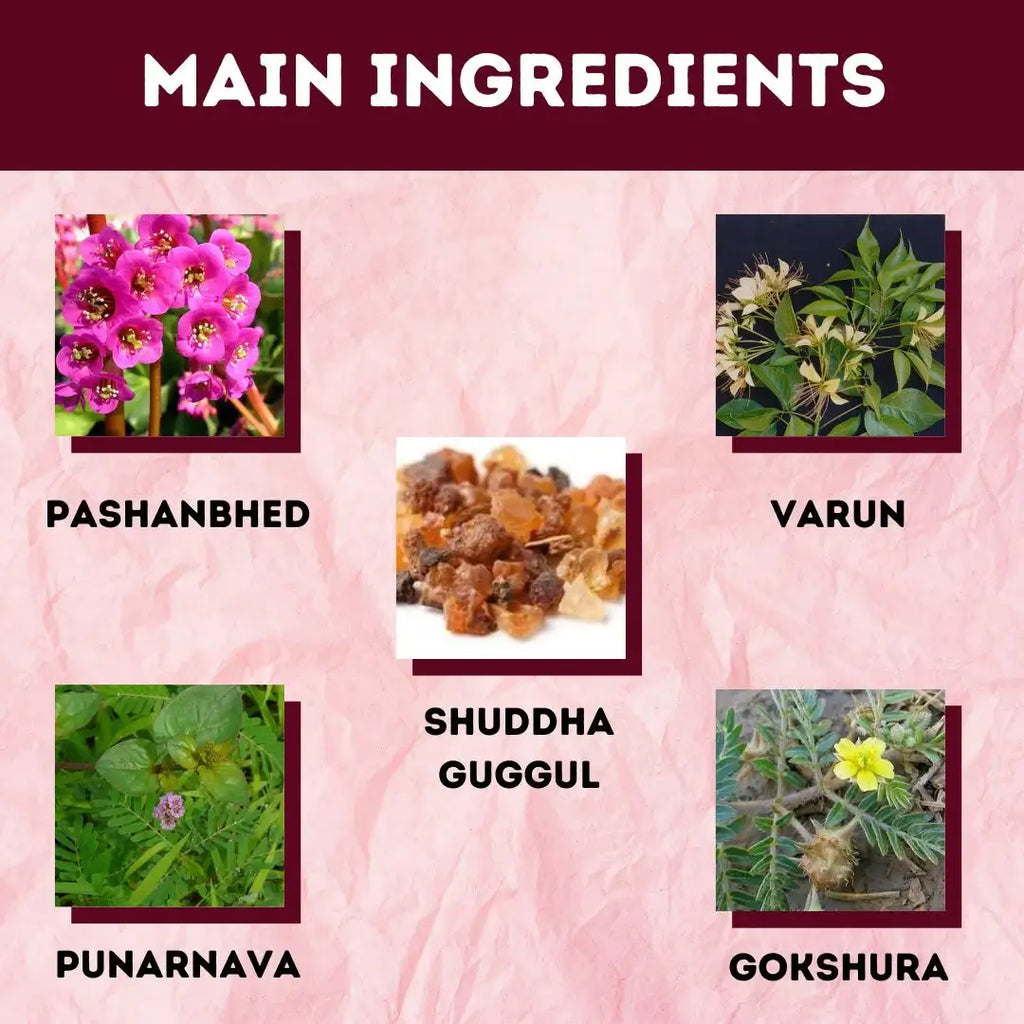 Herbal Hills Ayurveda Proscarehills Tablets | Grocsy