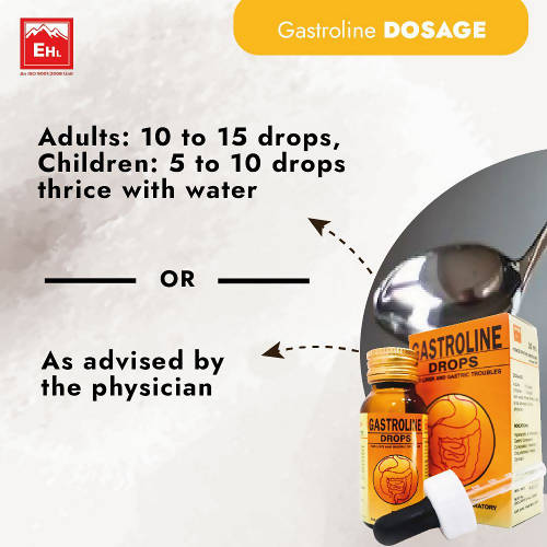 Everest Homeopathy Gastroline Drops | Grocsy