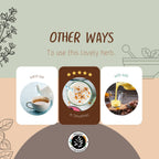 Organic AyurveGrocsyn Ashwagandha Powder | Grocsy