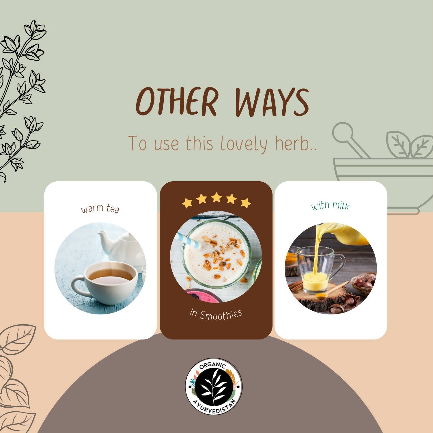 Organic AyurveGrocsyn Ashwagandha Powder | Grocsy