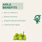 Vitro Naturals I Am Tasty Amla Candy | Grocsy