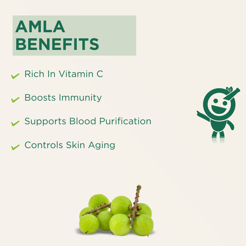 Vitro Naturals I Am Tasty Amla Candy | Grocsy