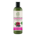 Petal Fresh Pure Color Protection Pomegranate & Acai Conditioner | Grocsy
