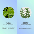 HASK Tea Tree Oil & Rosemary 5-In-1 Leave In Spray | Grocsy