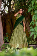 Evanik Traditional Pista Dupion Silk With Zari Weaving Work Lehenga Choli | Grocsy