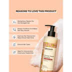 Quench Damage Repair Shampoo with Quinoa & Ceramides | Grocsy
