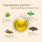 Shivamastu Ayurveda Sugarwise Herbal Tea - Limited Time Offer | Grocsy