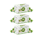 Planet Ayurveda Tulsi Green Tea | Grocsy