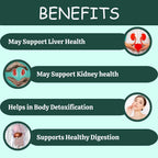 Herbal Hills Ayurveda Punarnavahills Capsules | Grocsy