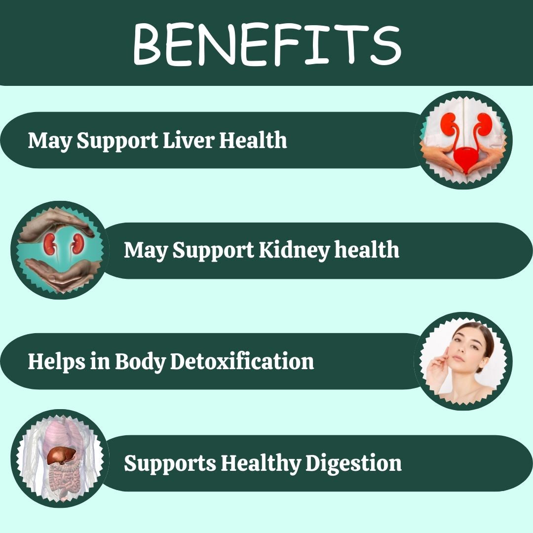 Herbal Hills Ayurveda Punarnavahills Capsules | Grocsy