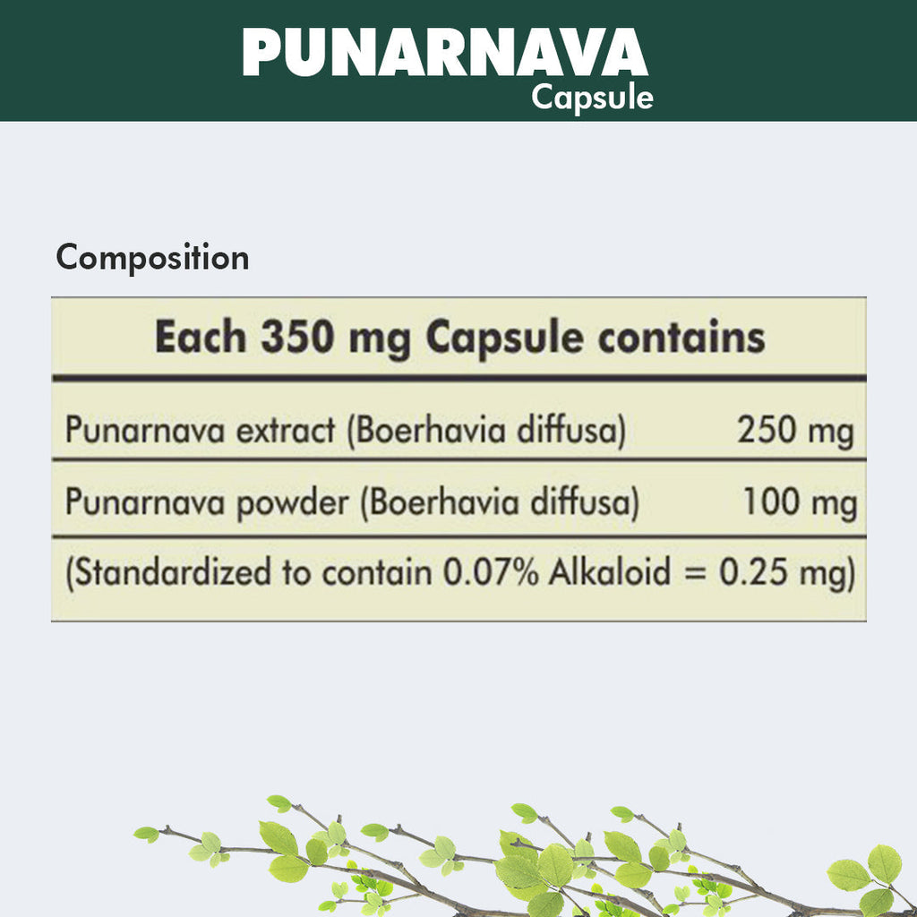 Herbal Hills Ayurveda Punarnavahills Capsules | Grocsy