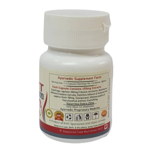 Deep Ayurveda Renfit 500mg Veg Capsules | Grocsy