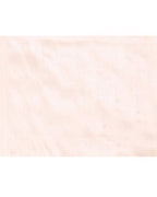 Piyari Fashion Women's Peach Organic Tissue Saree With Blouse Piece | Grocsy