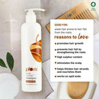 Plum Ginseng Gentle Rinse Shampoo | Grocsy
