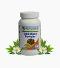 Planet Ayurveda Gokshura Powder | Grocsy