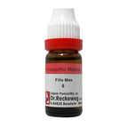 Dr. Reckeweg Filix Mas Dilution | Grocsy