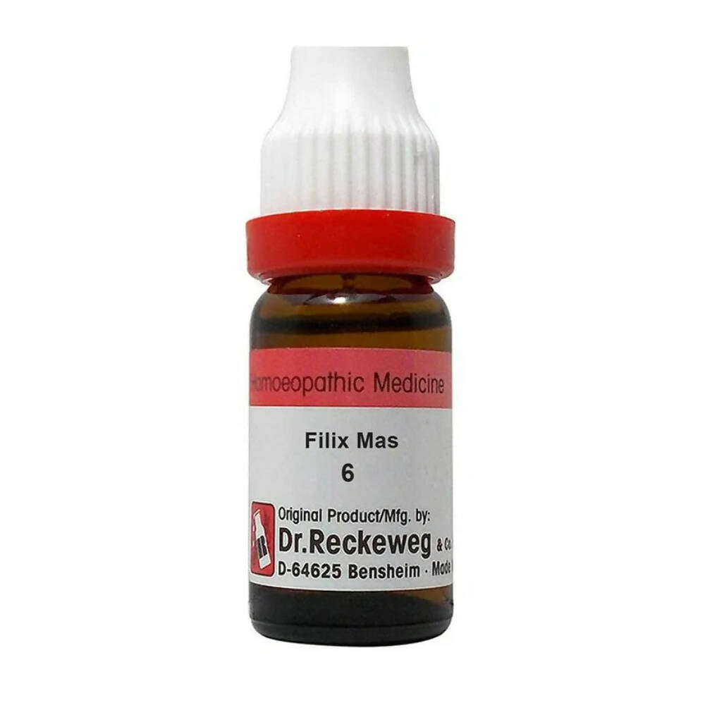 Dr. Reckeweg Filix Mas Dilution | Grocsy