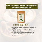 Wild Organic Henna Hair Colour Powder For Smooth Hair Pack | Grocsy