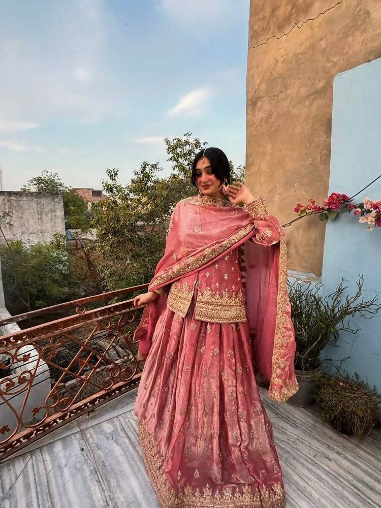 Teeya Creation Womens New Traditional Peach Heavy Work Ethnic Ensemble Lehenga Set | Grocsy