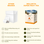 Wellwith Super Fruit Tea | Grocsy