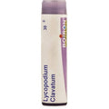 Boiron Homeopathy Lycopodium Clavatum | Grocsy