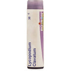 Boiron Homeopathy Lycopodium Clavatum | Grocsy