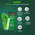 Baidyanath Vansaar Wheat Grass Juice | Grocsy