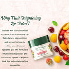 Biotique Advanced Ayurveda Bio Fruit Whitening Lip Balm | Grocsy