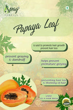 Spag Herbals Premium Papaya Powder | Grocsy