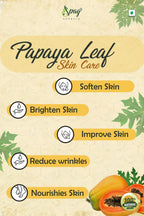 Spag Herbals Premium Papaya Powder | Grocsy