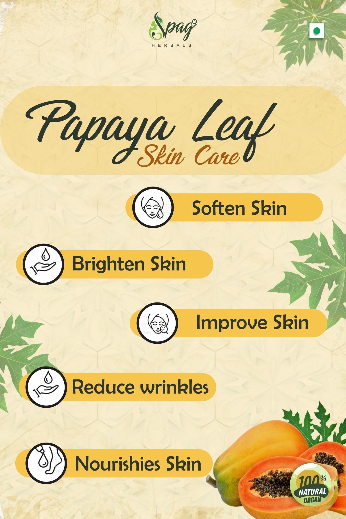 Spag Herbals Premium Papaya Powder | Grocsy