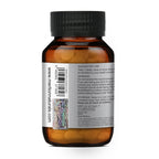 Merlion Naturals Papaya Leaf 500mg Tablets | Grocsy