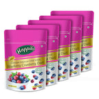Happilo Premium Dried Blueberry Cranberry Duet | Grocsy