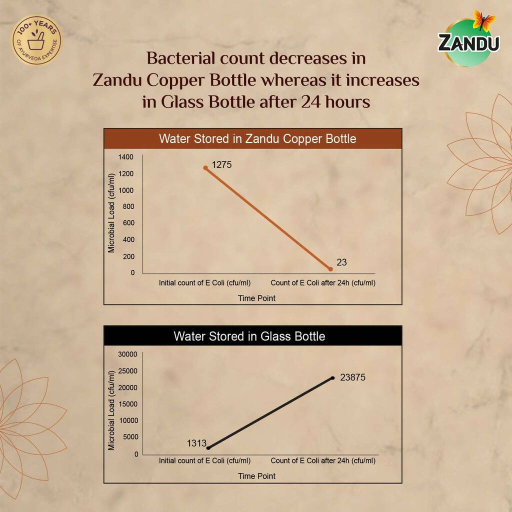 Zandu Copper Water Bottle | Grocsy