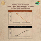 Zandu Copper Water Bottle | Grocsy