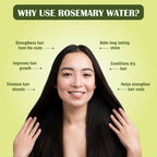 Myherb Rosemary Water Hair Spray For Regrowth, Helps Reduce Hairfall, Strengthens Hair | Grocsy