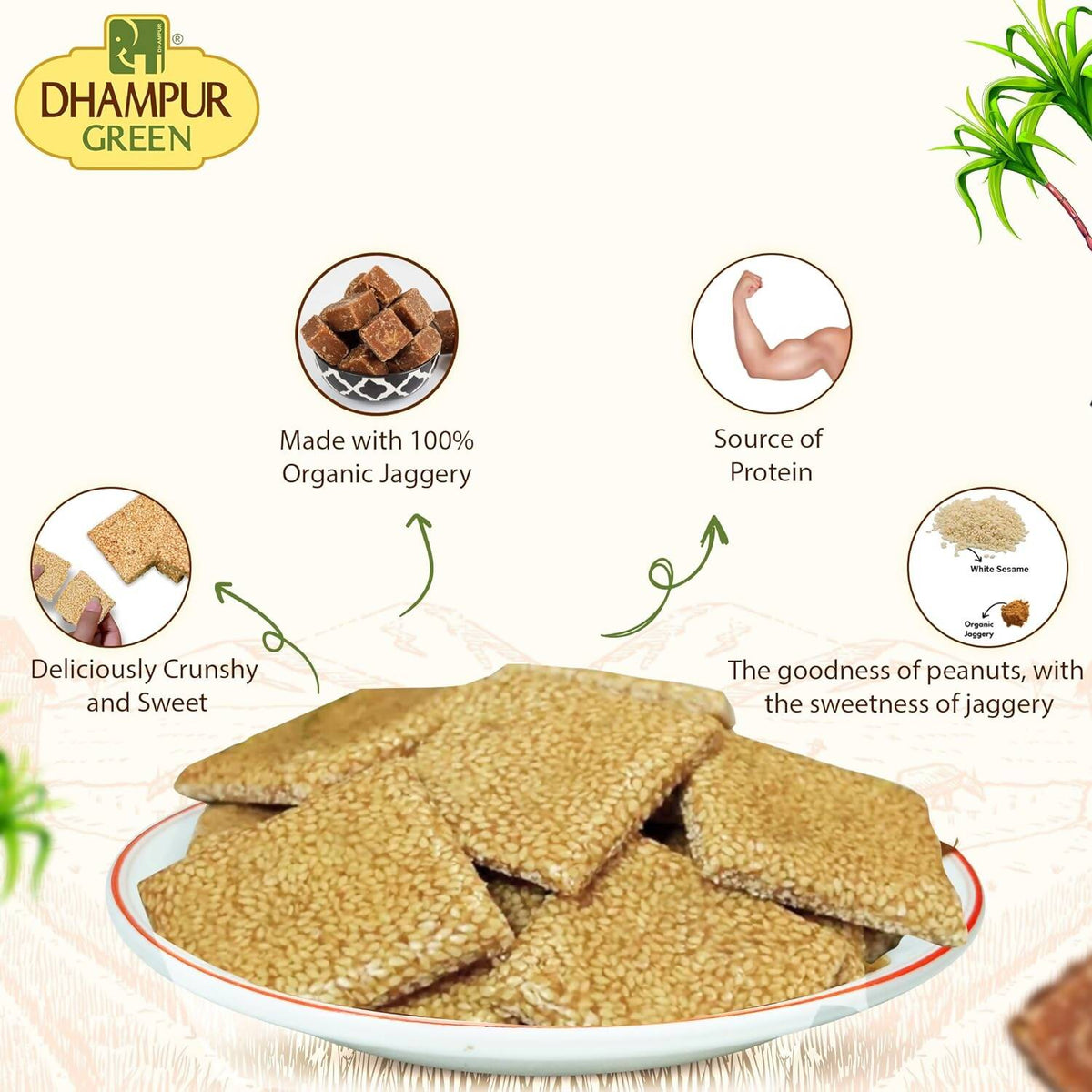 Dhampur Green Sesame Jaggery Chikki | Grocsy