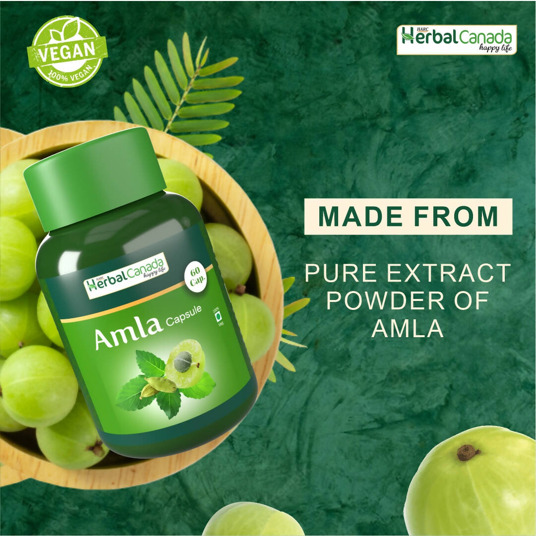 Herbal Canada Amla Capsules | Grocsy