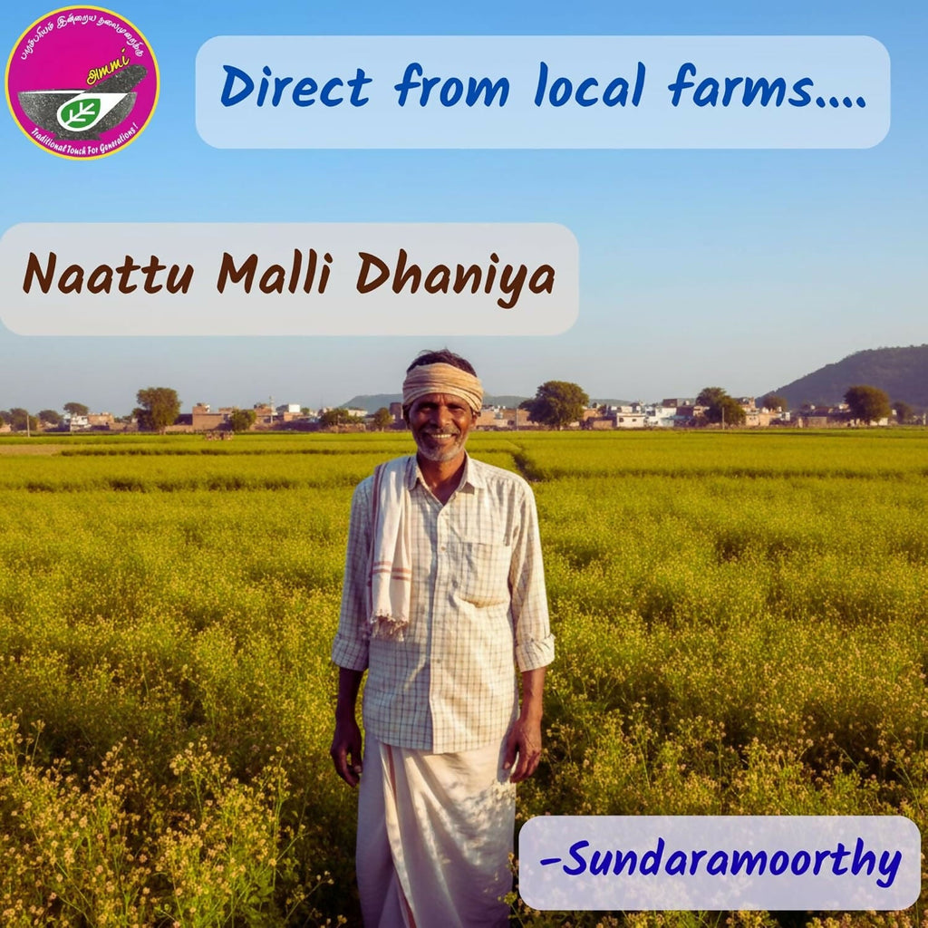 Ammi Samayal Country Coriander Seeds | Grocsy
