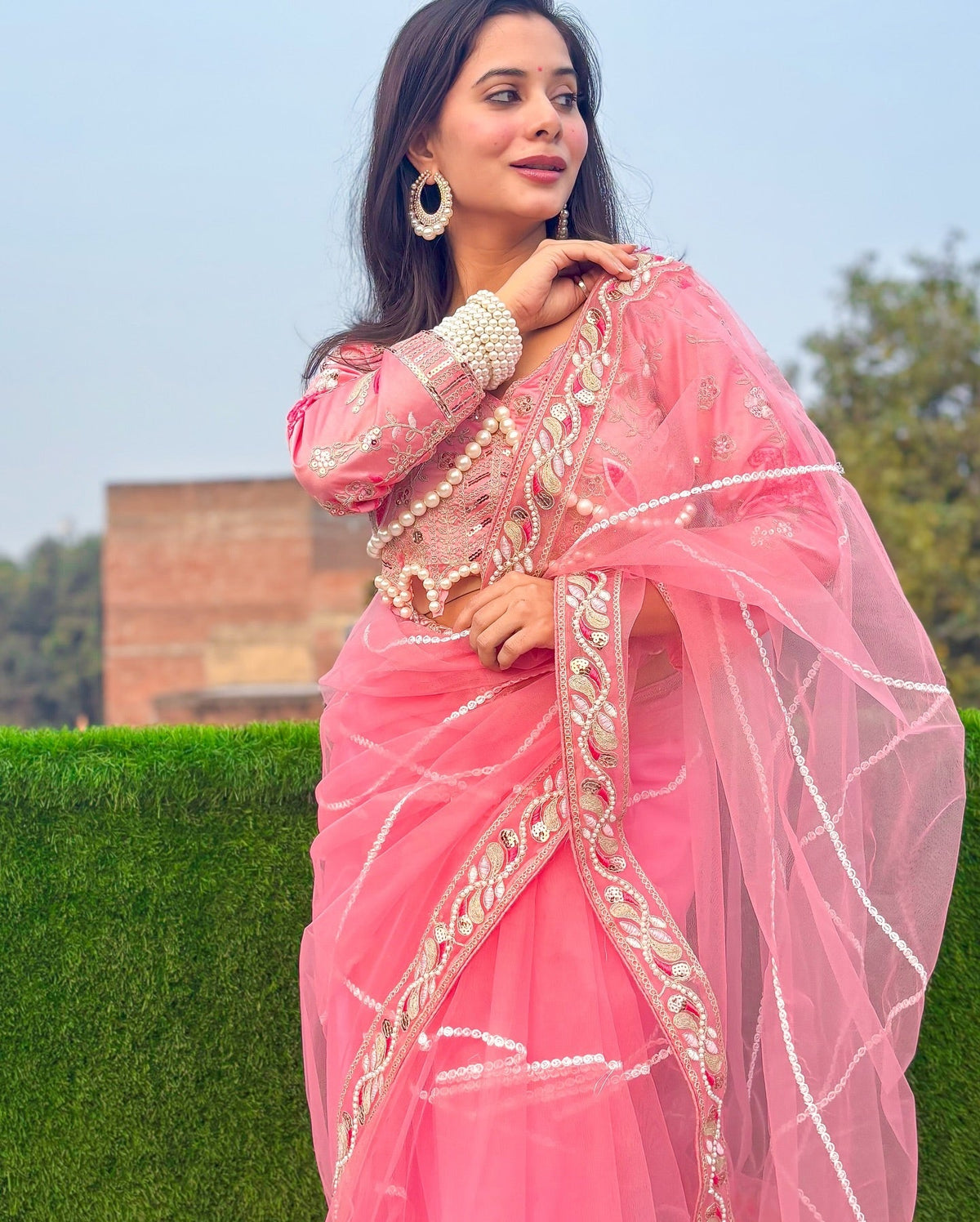 Evanik Pink Net Embroidery work Saree with Moti Hand work Blouse | Grocsy