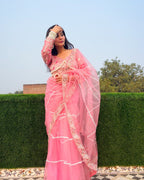 Evanik Pink Net Embroidery work Saree with Moti Hand work Blouse | Grocsy