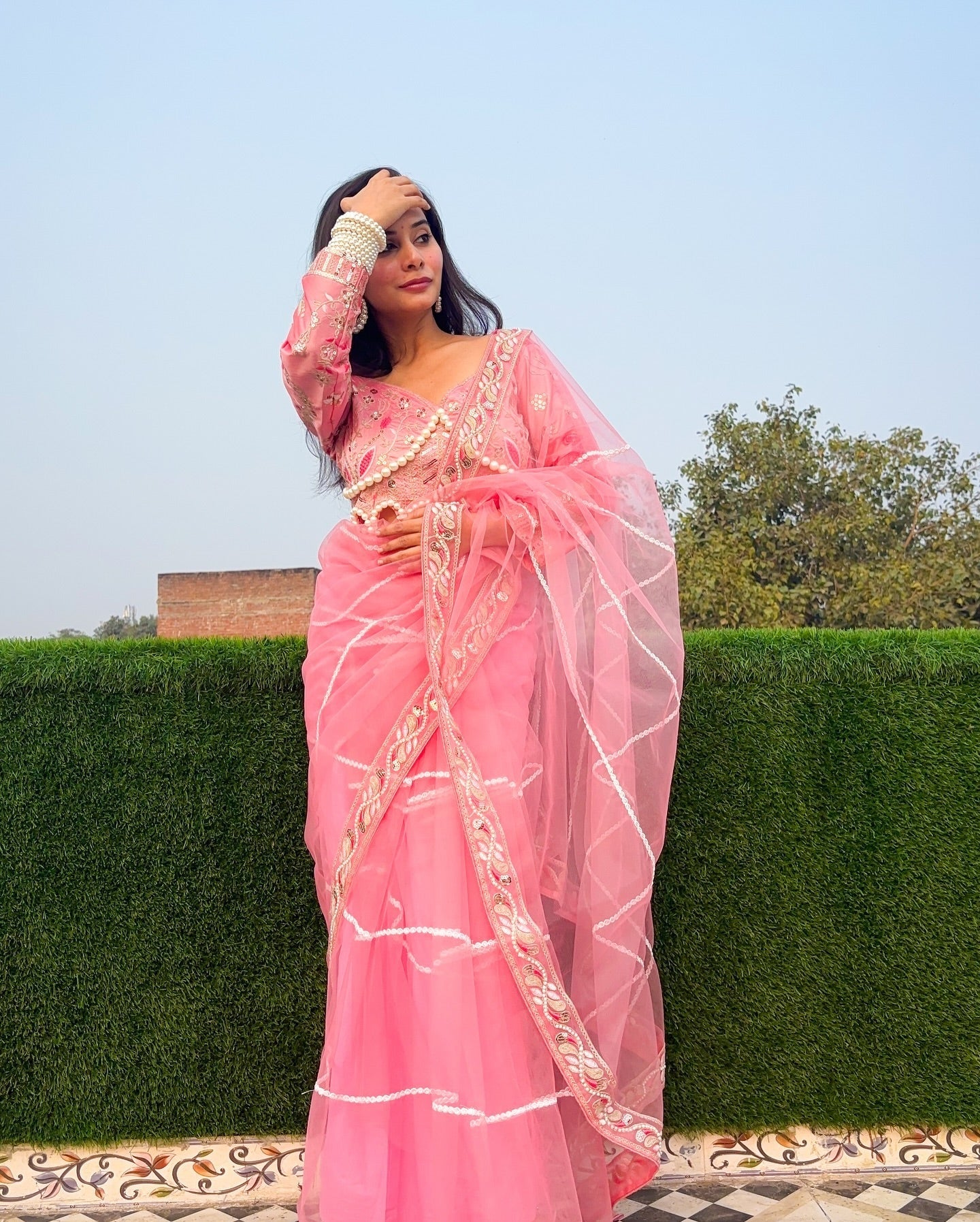 Evanik Pink Net Embroidery work Saree with Moti Hand work Blouse | Grocsy