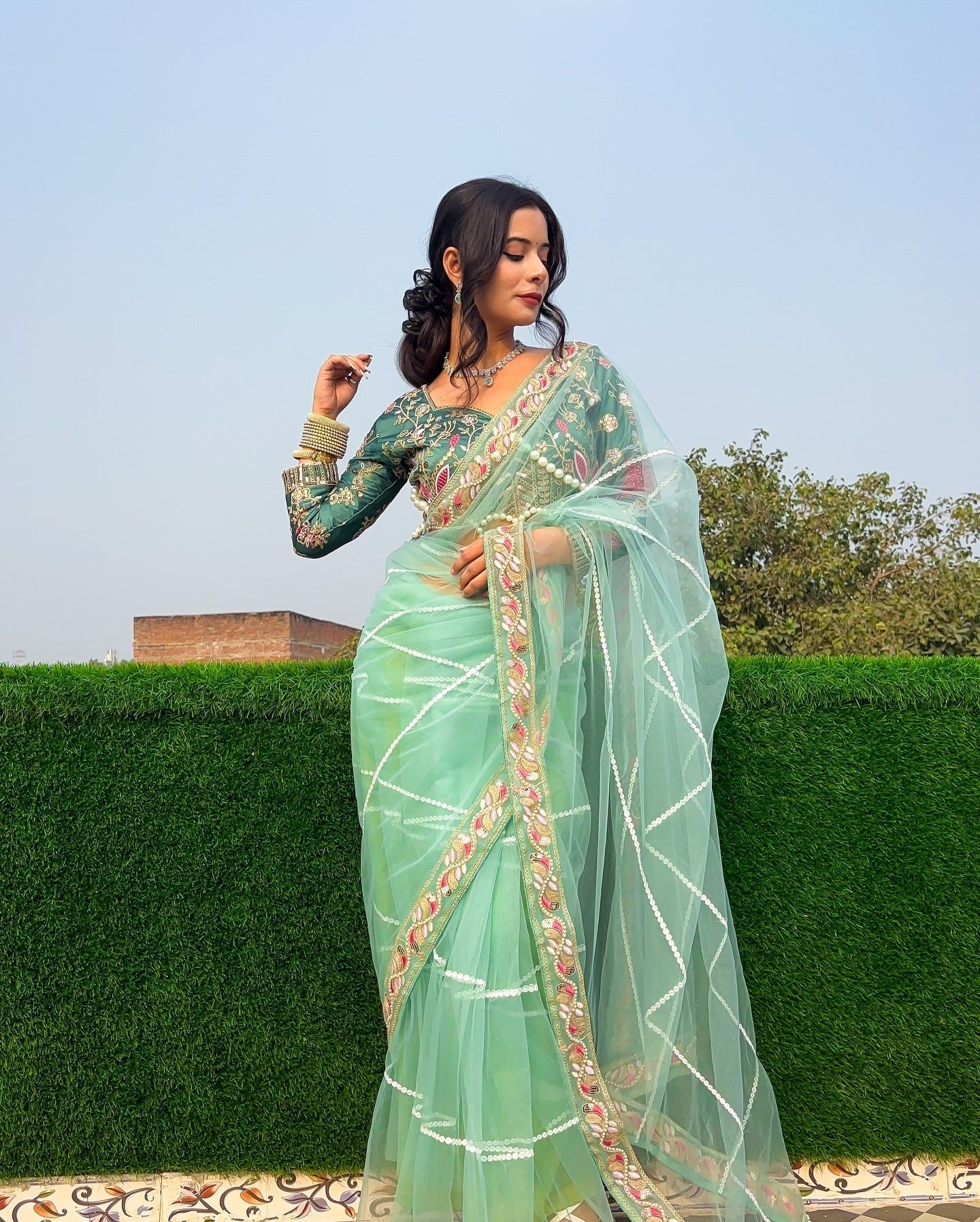 Evanik Pista Net Embroidery work Saree with Moti Hand work Blouse | Grocsy