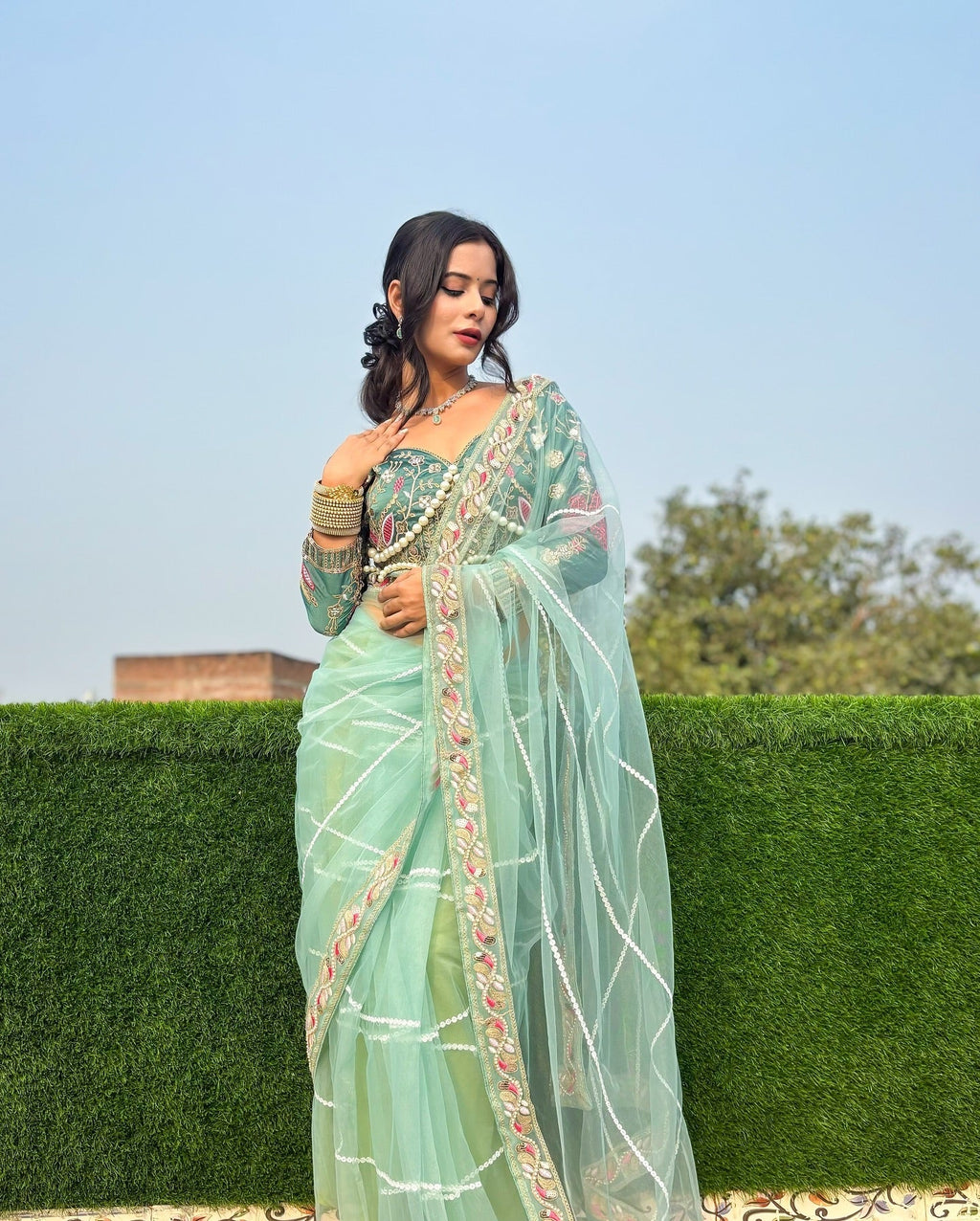 Evanik Pista Net Embroidery work Saree with Moti Hand work Blouse | Grocsy